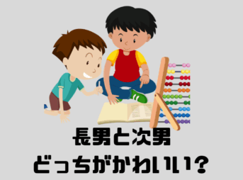 おもちゃで遊ぶ兄弟